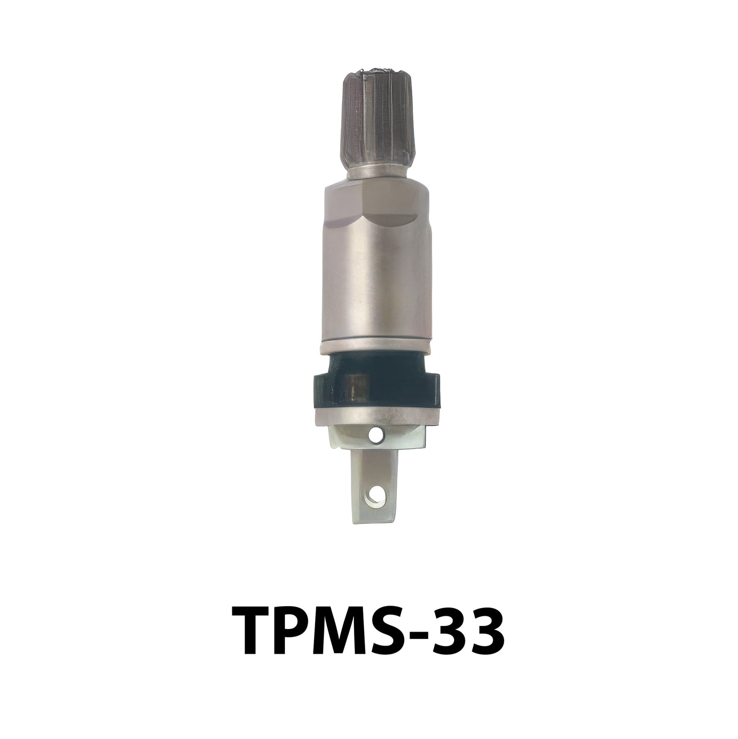 TPMS Service Kit /TPMS valves (100packs)